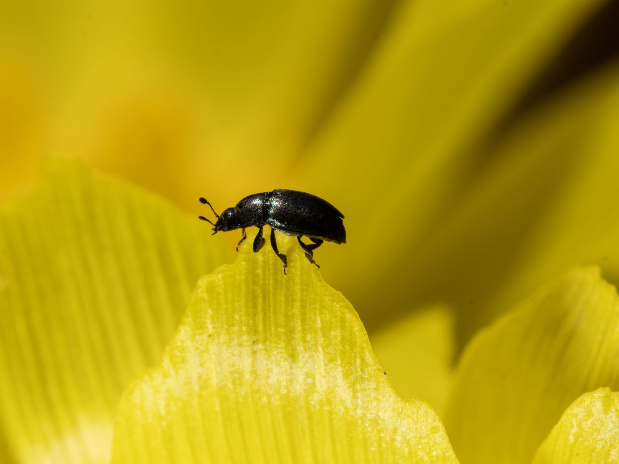 107 260416 1508 J  2JR1342 DxO DeepPRIME 3